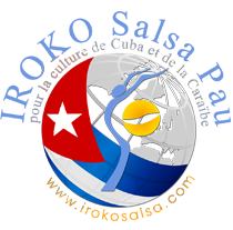logo association Iroko Salsa Pau